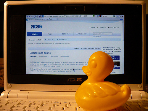 Duck Day 224 (12082009) - ACAS