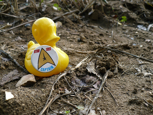 Duck Day 226 (14082009) - Star Trek