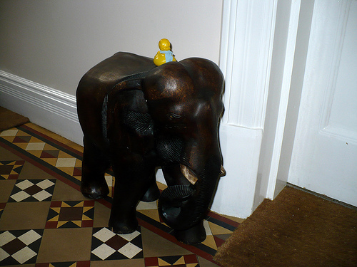 Duck Day 227 (15082009) - Riding an elephant