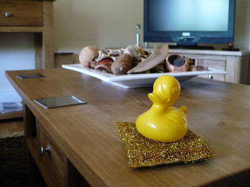 Duck Day 228 (16082009) - A nice pad
