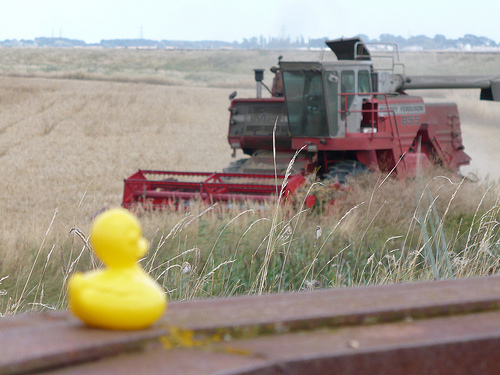 Duck Day 229 (17082009) - Combine harvester