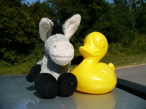 Duck Day 231 (19082009) - My donkey friend
