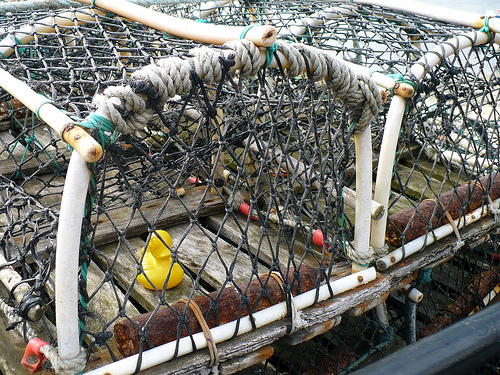 Duck Day 235 (23082009) - Lobster Pots