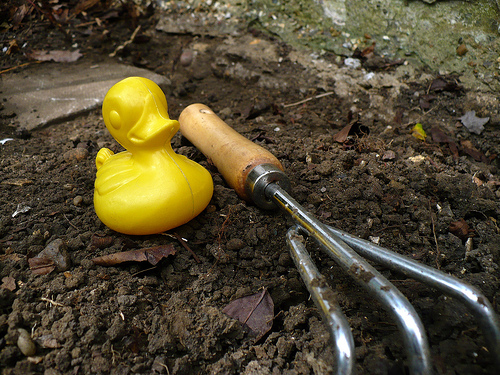 Duck Day 244 (01092009) - Gardening