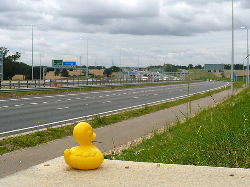 Duck Day 245 (02092009) - The M1