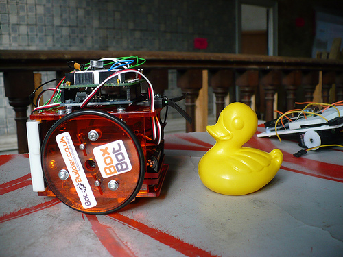 Duck Day 248 (05092009) - Friendly robot
