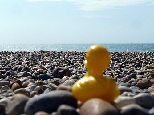 Duck Day 250 (07092009) - On Brighton beach