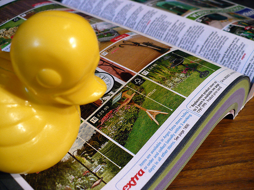 Duck Day 252 (09092009) - Argos catalog
