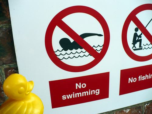 Duck Day 253 (10092009) - No Swimming