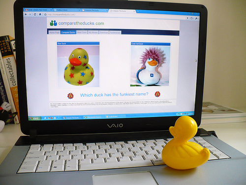 Duck Day 263 (20092009) - Compare the Ducks