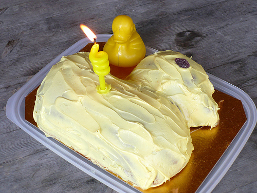 Duck Day 269 (26092009) - Happy birthday to me