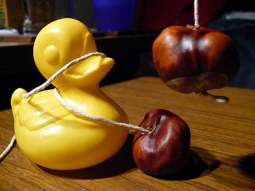 Duck Day 272 (29092009) - Conkers