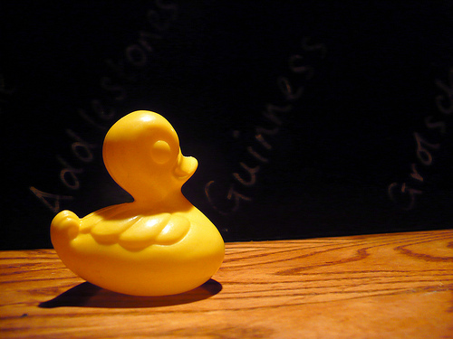 Duck Day 273 (30092009) - Closing time