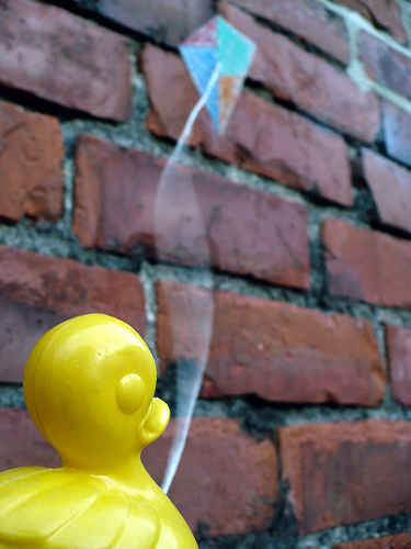 Duck Day 276 (03102009) - Flying my kite