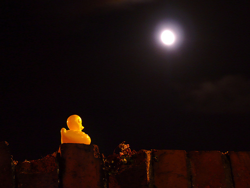 Duck Day 280 (07102009) - Moon