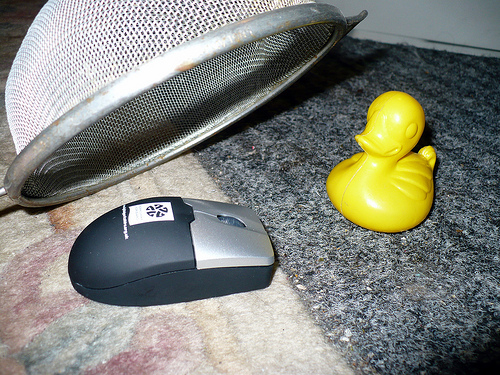 Duck Day 282 (09102009) - My new pet mouse