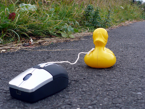 Duck Day 283 (10102009) - Walking the mouse