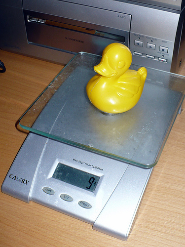 Duck Day 286 (13102009) - Scales