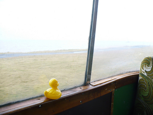 Duck Day 292 (19102009) - On the tram