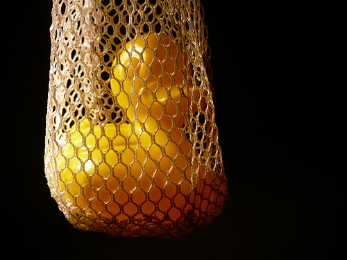 Duck Day 294 (21102009) - In the net