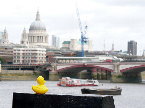 Duck Day 298 (25102009) - London