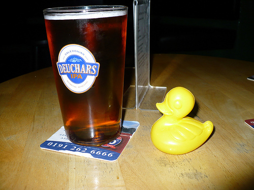 Duck Day 299 (26102009) - My Pint