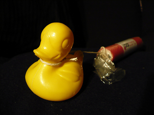 Duck Day 300 (27102009) - Rock