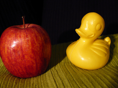 Duck Day 301 (28102009) - An Apple