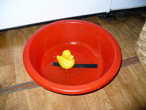 Duck Day 303 (30102009) - Rain in the kitchen