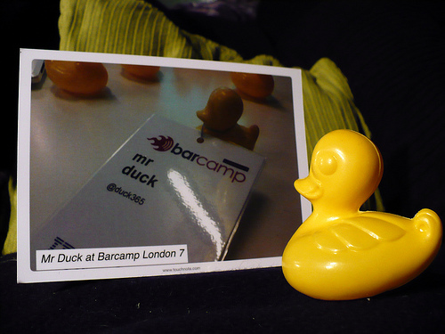 Duck Day 307 (03112009) - My Postcard