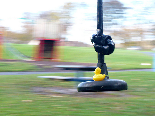 Duck Day 308 (04112009) - Death slide