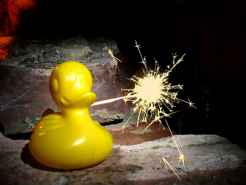 Duck Day 309 (05112009) - Sparkler