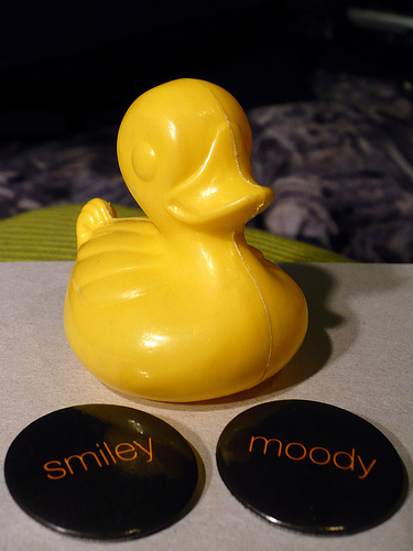 Duck Day 316 (12112009) - Smiley or Moody