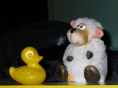 Duck Day 317 (13112009) - Counting sheep