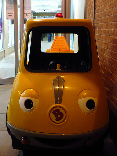 Duck Day 319 (15112009) - Brum brum