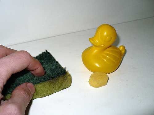 Duck Day 322 (18112009) - Scrubbing