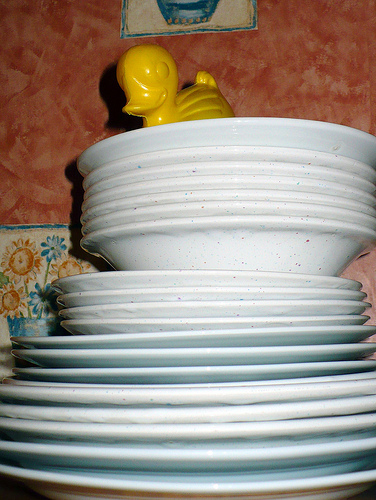 Duck Day 323 (19112009) - Plates