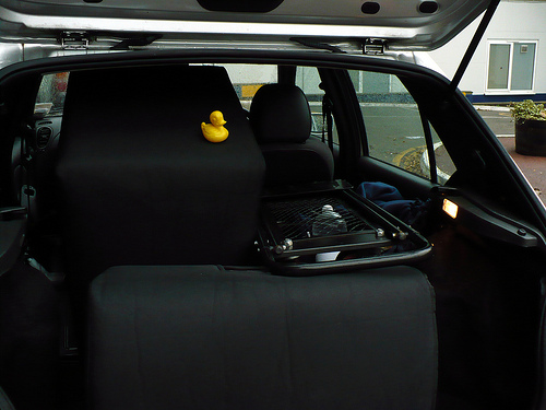 Duck Day 325 (2112009) - Heavy lifting