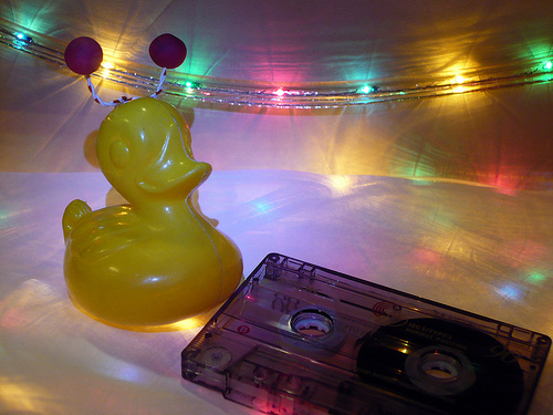 Duck Day 326 (2212009) - Disco