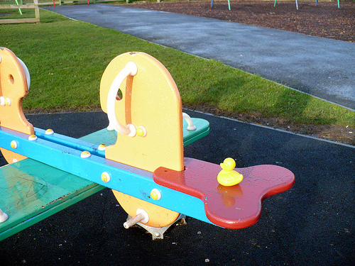 Duck Day 329 (2512009) - See Saw