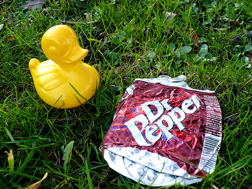 Duck Day 331 (2712009) - Flat pop