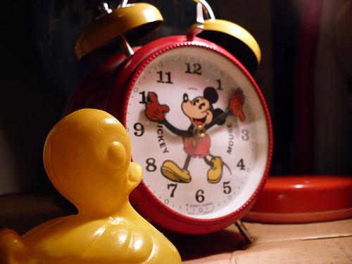 Duck Day 333 (2912009) - Wake up