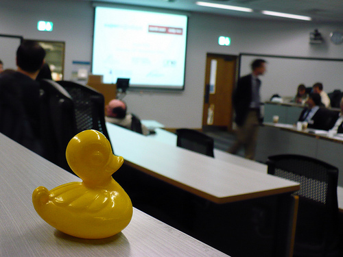 Duck Day 334 (3012009) - SuperTelly