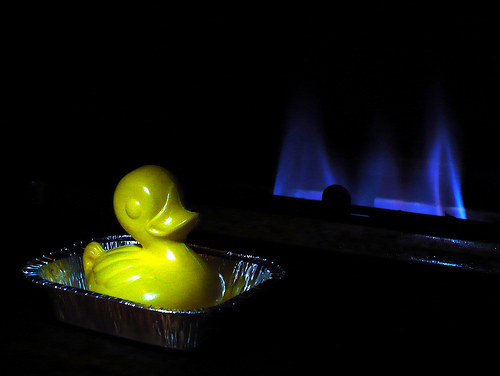 Duck Day 335 (01122009) - Warm in here