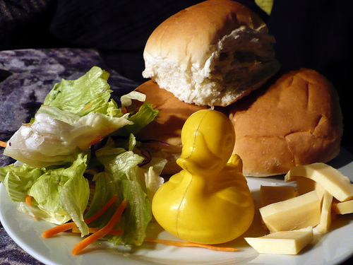 Duck Day 336 (02122009) - Lunch