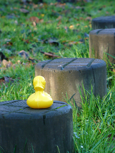 Duck Day 338 (04122009) - Keeping fit