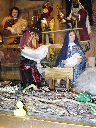 Duck Day 343 (09122009) - Nativity