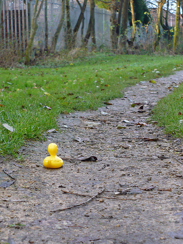 Duck Day 346 (12122009) - Walk in the park