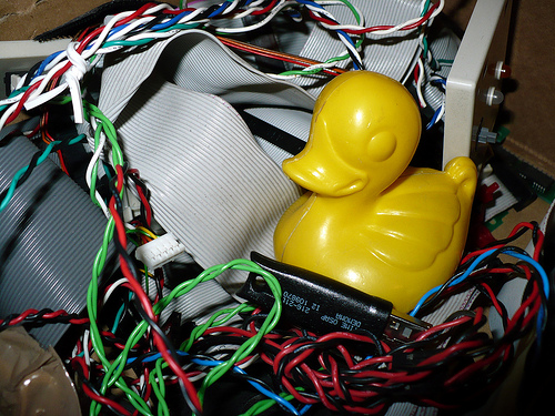 Duck Day 347 (13122009) - Wires