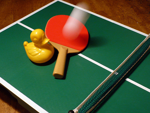 Duck Day 349 (15122009) - Ping Pong